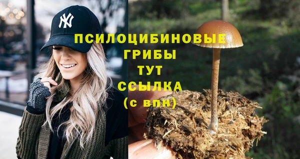 круглые Гусиноозёрск