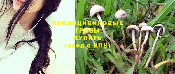 гашиш Гусь-Хрустальный