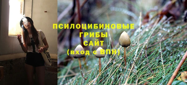 круглые Гусиноозёрск