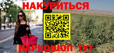 шишки Конаково