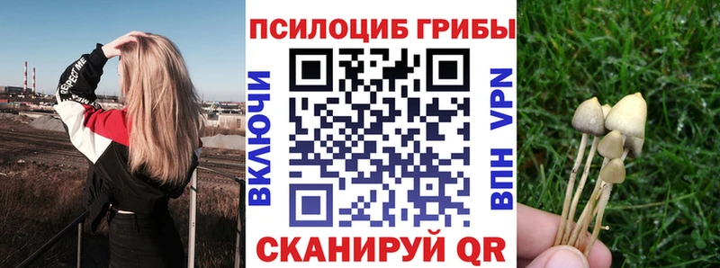 закладка  Старый Оскол  Псилоцибиновые грибы ЛСД 